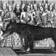 Image for article titled A Field Guide to Cryptids From Europe and Africa